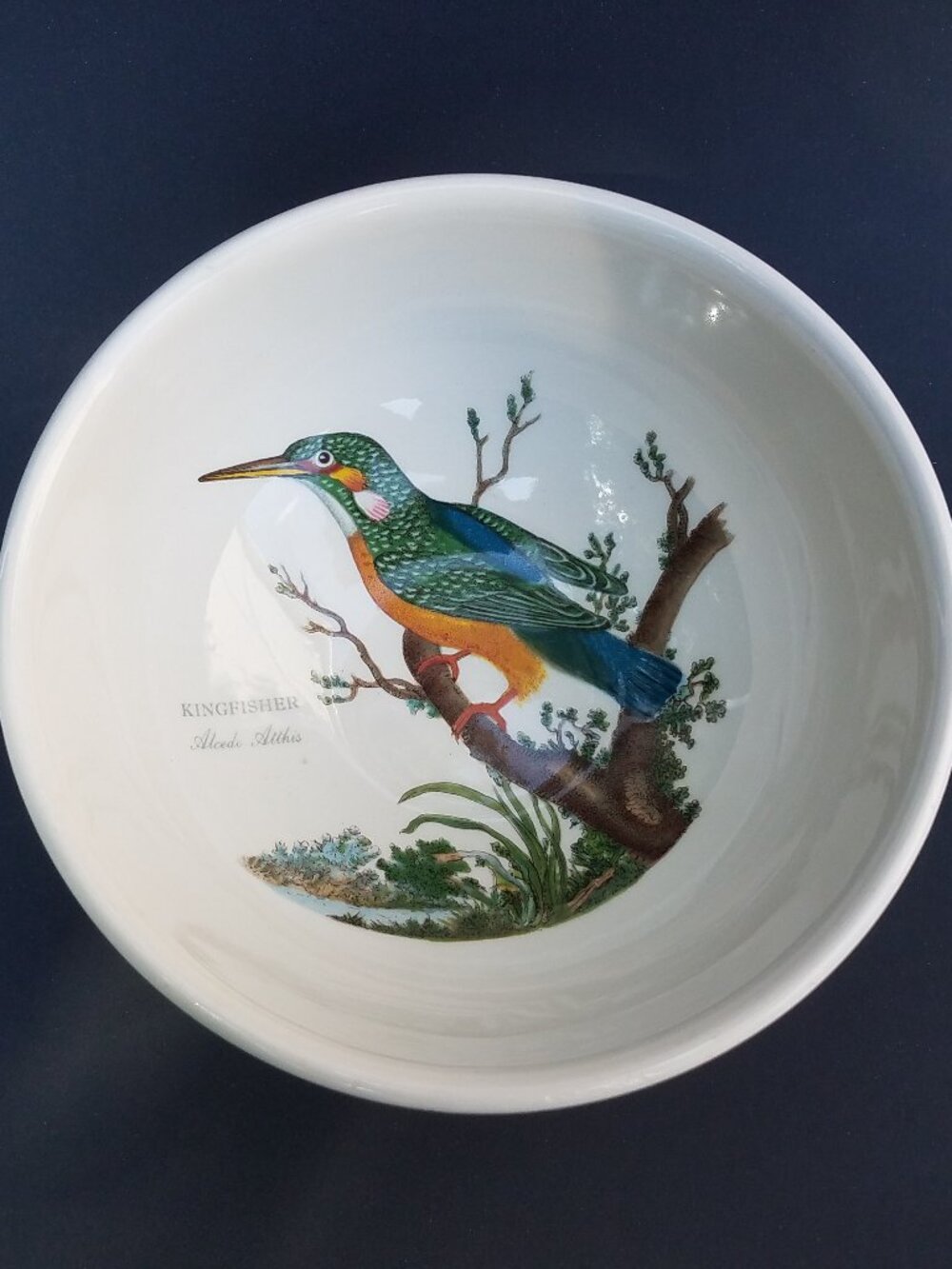 Vintage Portmeirion Birds of Britain Fruit Cereal Bowl Kingfisher 1978 Edition